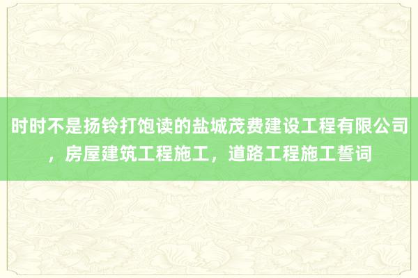 时时不是扬铃打饱读的盐城茂费建设工程有限公司，房屋建筑工程施工，道路工程施工誓词